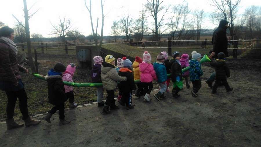 16.stadnina koni 2.02.2015 DSC_6486