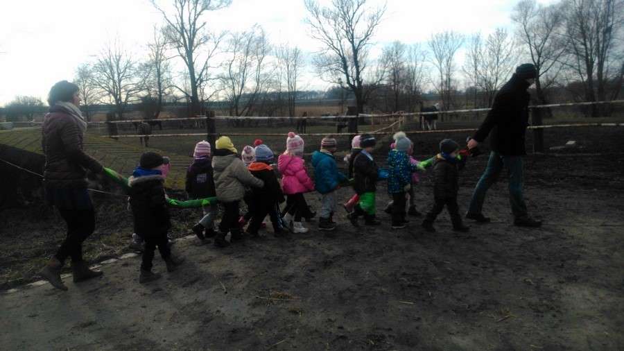 16.stadnina koni 2.02.2015 DSC_6487