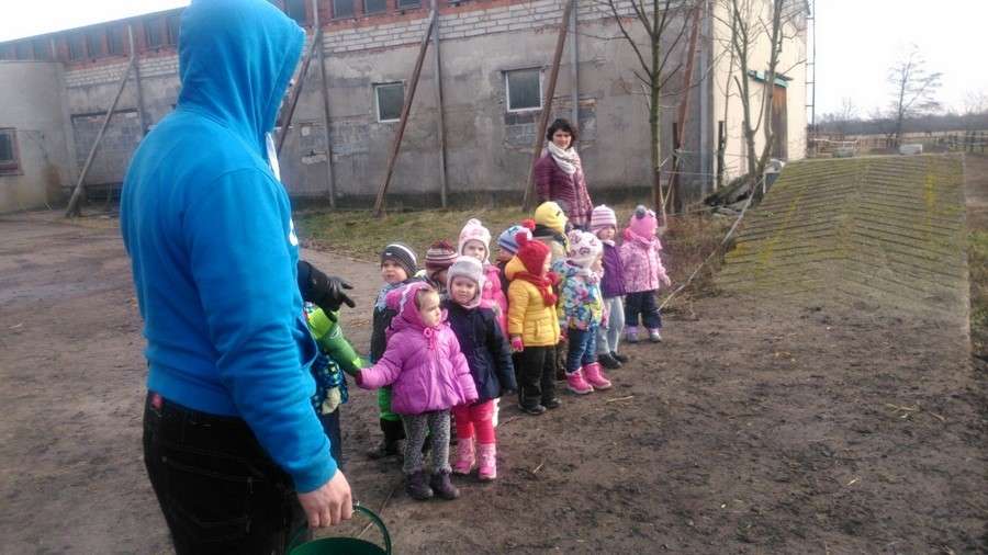 16.stadnina koni 2.02.2015 DSC_6490